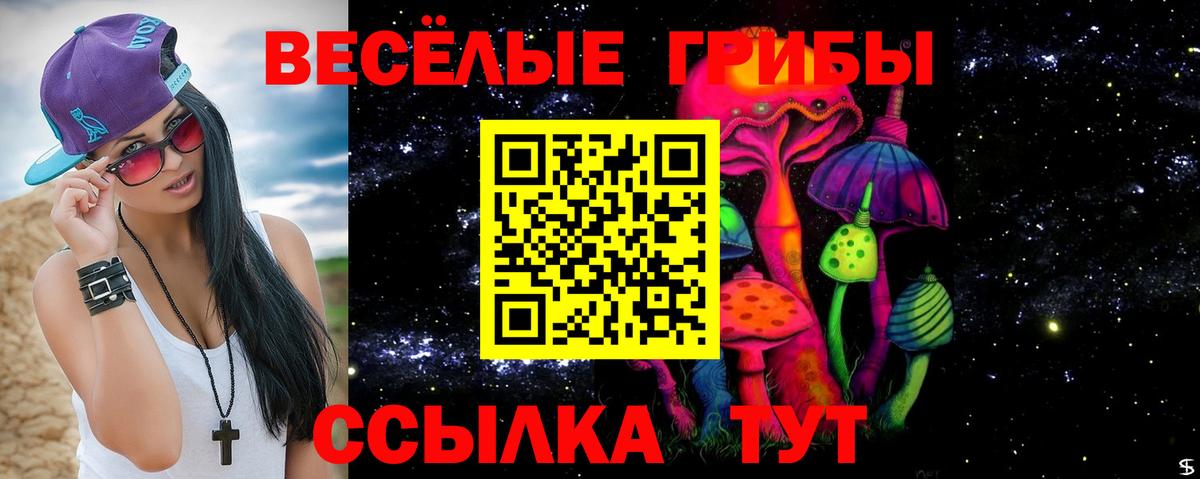 Кашира  Псилоцибиновые грибы ЛСД  Псилоцибиновые грибы Psilocybine cubensis  Вход с VPN 