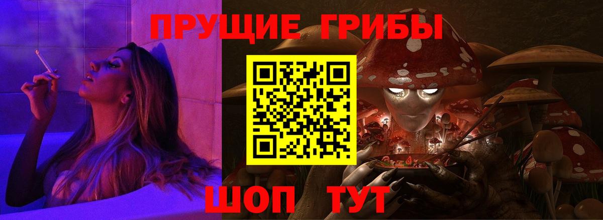 Галлюциногенные грибы Psilocybine cubensis Кашира